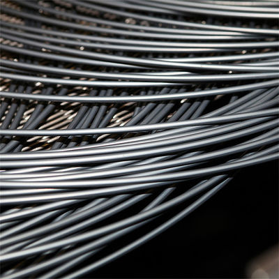 Alta baixa leve de carbono aço inoxidável Rod corda pregão fio de mola com certificação CCC